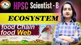 Food Chain & Food Web || Ecosystem || Environment || HPSC Scientist - B