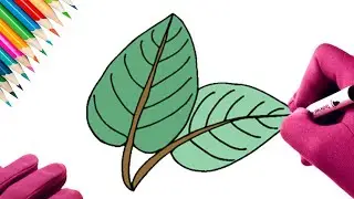 COMMENT DESSINER DES FEUILLES D'ARBRE