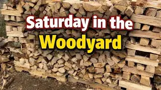 Pallets, wood stacks, new equipment, and lessons learned #firewood 