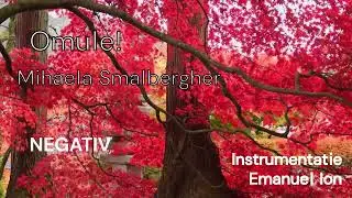 Negativ ~Omule ~ Mihaela Smalbergher
