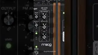 Moog plugins + Guitar Plugins = 🔥