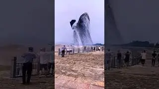 🐳  Whale Fish Viral # Short # Amzing