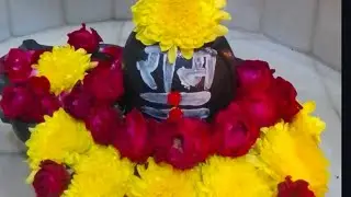 सभी फ्रेंड के गुड मॉर्निंग 🌞