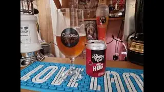 The Snaffling Pig Company WILD HOG PILSNER 4.9% ABV full beer review