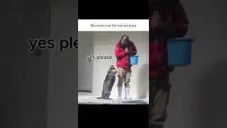 Funny japanese animal dubbing meme by @arashinebula2112 ❣️ #onepiece #japan #anime #shorts