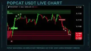 POPCAT LIVE Educational Chart