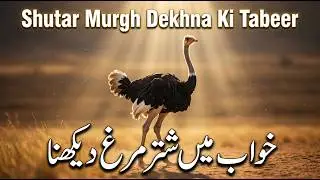 Khwab Mein Shutar Murgh Dekhna ki Tabeer | خواب میں شتر مرغ دیکھنا | Ostriches In Dream Meaning