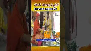 CM Yogi Adityanath Performed Rudrabhishek And Fed Cows At Gorakhnath Temple For Maha Shivaratri
