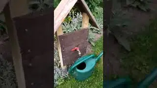 Sadevesi puutarhassa