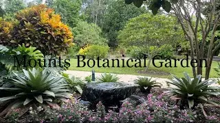 Mounts Botanical Garden, West Palm Beach, 2023 @Carol-Beauty of Nature