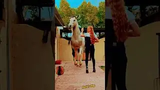 আল্লাহ আল্লাহ আল্লাহু #shorts #horse #viral #ইসলামিক_ভিডিও #popular #naziasvlog #foryou #allah
