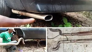transAM 1976 exhaust fabrication ( classic car)