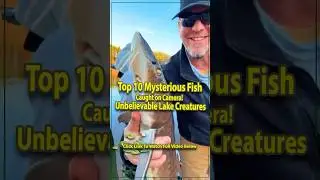Top 10 Mysterious Fish Caught on Camera! 🐠 Unbelievable Lake Creatures 🌊