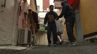 Community Cleanup