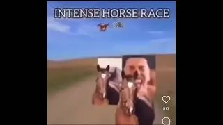 Interse Horse racing