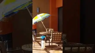 Easy Setup of Portable Misting System