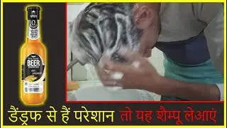 BEER Shampoo review | Benefits |  Honest Review | Volumizing shampoo | Anti Dandruf Shampoo |