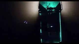 Bowfishing Cow Bayou video