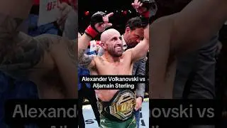 FIGHTS TO MAKE AFTER UFC 325