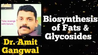 Biosynthesis of Glycosides and Fats