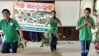 Eco club activities 🌳🌱 Sonurani sahoo