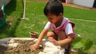 DELHI PUBLIC SCHOOL, GBN - PLANT A SAPLING