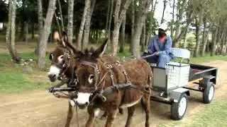 Social development project; transport solution for people in rural area's land reform. #5