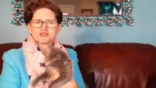 Why Cats Purr/Tarzan Gets Into a Glass