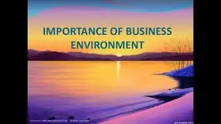 Importance of business environment| Business Studies class 12| Chapter 3| Opportunities | threats