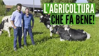 PRATO STABILE POLIFITA, l'agro habitat più prezioso