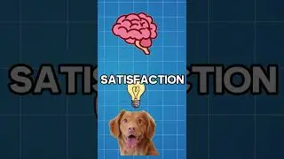 Why do dogs love bones so much? 🤔🦴 #shorts #viral
