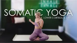 Somatic Yoga Routine &ndash; Lower Cortisol Levels