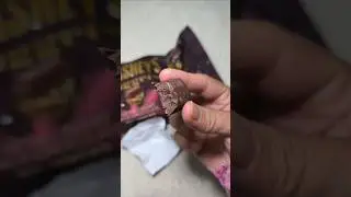 Hershey's Nugget Extra Creamy Milk Chocolate With Cookie Bite. Recommended!