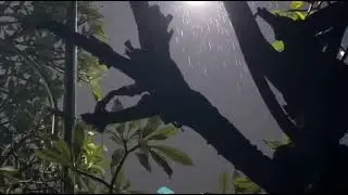 ASMR Rain at Night with Upstairs Light. Natural Rain Sounds for Relaxation and Meditation