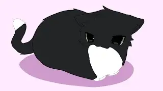 Maxwell cat