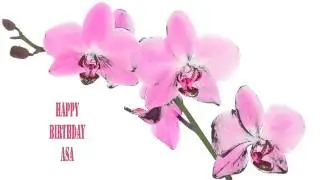 Asa   Flowers & Flores - Happy Birthday