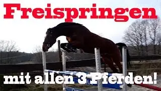FREISPRINGEN | Püppi hebt ab! | MA Chevaux De Sport