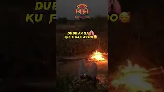 Jacayl wadnahayga dagay