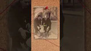 Как ЦРУ использовало кошек в качестве шпионов 😱