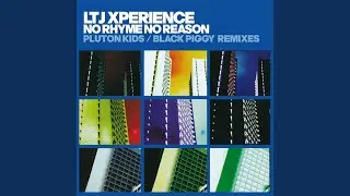 No Rhyme No Reason (Black Piggy Remix)