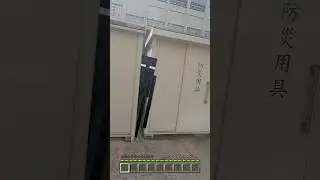 Enderman chase me in Real Life😱 #minecraft