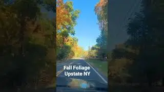 Driving Around Fall Foliage Upstate NY