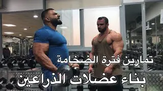 تمارين الذراعين للضخامة