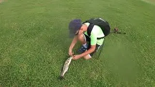 Fishing Private Golf Course Lakes For Tarpon And Snook