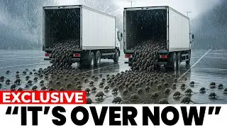 New York Released MILLIONS of Rat Killers&hellip; What Happened Next Will Shock You