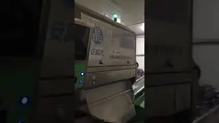 Peeled Garlic Sorting Machine