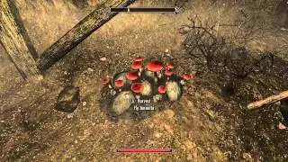 What is Fly Amanita - Skyrim