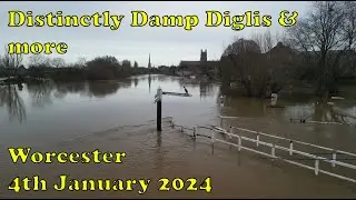 Distinctly Damp Diglis & more