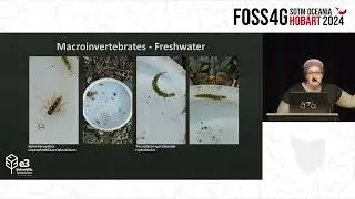Jessie Lindsay - Macro invertebrate Enumeration with Shiny, R