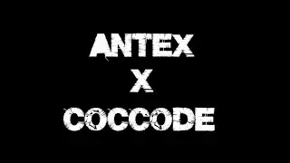 DUALTAGE | ANTEX X COCCODE | FIVEM MONTAGE